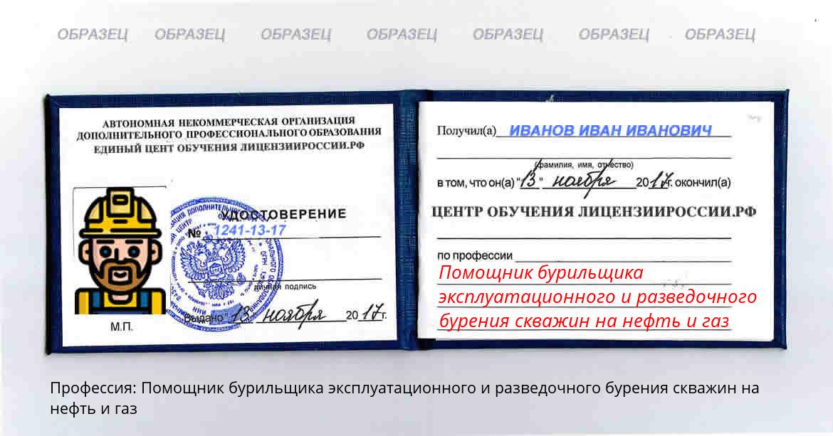 Помощник бурильщика эксплуатационного и разведочного бурения скважин на нефть и газ Николаевск-на-Амуре